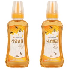 대웅 사양벌꿀, 500g, 2개