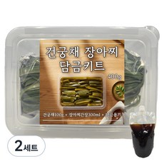 건궁채 100g + 전용간장 300ml + 용기 장아찌 담금 키트, 2세트