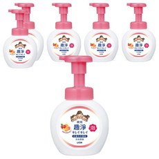 LION 獅王 趣淨 洗手慕斯 清新果香, 250ml, 6件