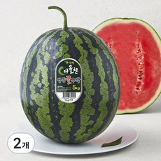 다올찬 맹동 꿀수박, 5kg이상, 2개