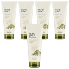THE FACE SHOP 菲詩小舖 Herb Day 365綠豆艾草洗面乳, 170ml, 5條