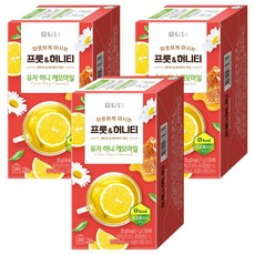 Damtuh 丹特 水果蜂蜜茶 柚子蜂蜜洋甘菊, 1g, 20入, 3個
