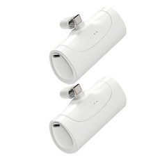 아이히트코리아 일체형 도킹 보조배터리 C타입단자 포트 2개입, TYPE1, WP-029C-4000(C타입)