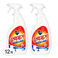 생활공식 강력제거 욕실청소세제, 12개, 600ml