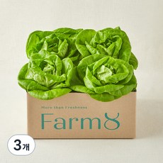 팜에이트 무농약 버터헤드레터스, 400g, 1개입, 3개