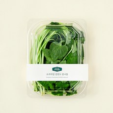 프리미엄 강원도 참나물, 130g, 1개