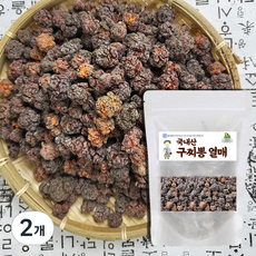 월드블링 구찌뽕열매, 2개, 200g