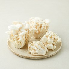 친환경 백색느타리버섯, 500g, 1개