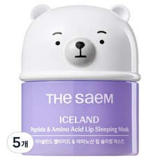더샘 아이슬란드 펩타이드 앤 아미노산 립 슬리핑 마스크 무색 13g, 5개, 1개입