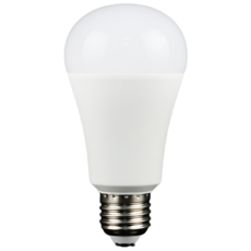 EVERLIGHT 億光 LED省電燈泡/球泡燈 16W 白光 6500K 全電壓100-240V 亮度2240lm, 1個