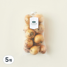 친환경 인증 프리미엄 양파, 1.5kg, 5개