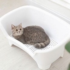 딩동펫 반려동물 물빠짐 욕조 S, 1개
