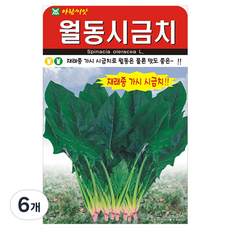 아람종묘 월동 시금치 씨앗, 6개