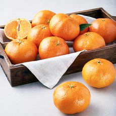 당도선별 레드향 소과 10~13입, 2kg, 1박스