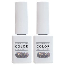 더젤 프리미엄 젤네일, 201호 홀리몰리실버, 10g, 2개