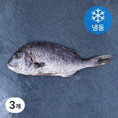 아라보감 맛 좋기로 소문난 남해 미조 손질 참돔 탕용 구이용 (냉동), 400g, 3개