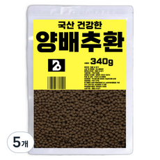 비니플랑센 국산 건강한 양배추환, 340g, 5개