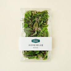 프리미엄 레드쏘렐, 10g, 1개
