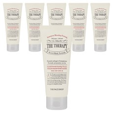 THE FACE SHOP 菲詩小舖 The Therapy Essential Formula 潔面泡沫, 150ml, 6個