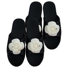 E.V.A 新藝術風格客廳開幕, 黑色