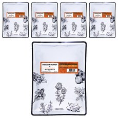 딜리셔스마켓 파프리카시즈닝 향신료, 500g, 5개