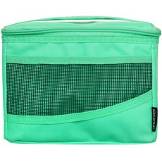 Sistema 맥시 접이식 쿨러 도시락 가방, 애플민트, 4.5L