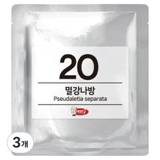 페스트세븐 페로몬 유인제 20 멸강나방, 3개, 1개입