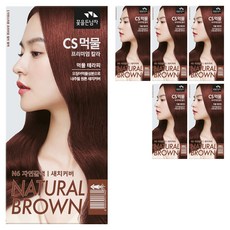 꽃을든남자 CS먹물 프리미엄 헤어 칼라크림 염모제, N6 자연갈색, 6개