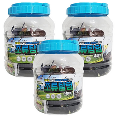 이종욱완구 자연은 살아있다 조류탐험 피규어 세트 중, 3세트