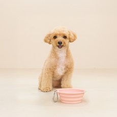 레토 반려동물 휴대용 접이식 실리콘 식기, 핑크, 1개