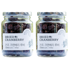 착한습관 건크랜베리, 200g, 2개