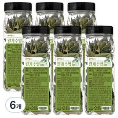 곰곰 월계수잎, 25g, 6개