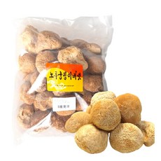 동광한방몰 노루궁뎅이버섯 중국산, 500g, 1개