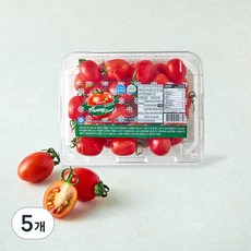야미 스테비아 대추방울토마토, 450g, 5개