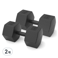 이고진 블랙육각 아령, 10kg, 4개