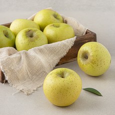 곰곰 시나노 골드 못난이 사과, 1.5kg, 1봉