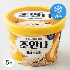 롯데웰푸드 조안나 리치 바닐라 아이스크림 (냉동), 900ml, 1개입, 5개
