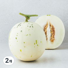 곰곰 고당도 백자 멜론, 1.3kg, 2개