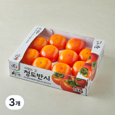 감미인 청도반시 8~12개입, 3개, 1.5kg