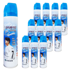 안티푸라민 쿨 에어파스 300mL, 1개입, 12개