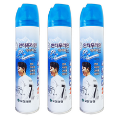 안티푸라민 쿨 에어파스 300mL, 1개입, 3개