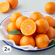 곰곰 미국산 만다린, 2kg, 2개