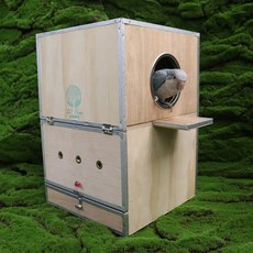 Leaf Ferret A18鸚鵡外部蛋殼王冠錐尾鸚鵡太陽錐尾鸚鵡塞內加爾鸚鵡用, 混合顏色, 1個