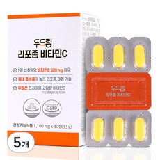 두드림 리포좀 비타민C 33g, 5개, 30정