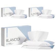 블랑101 건조기 시트 섬유유연제 시그니처 본품, 40매, 6개