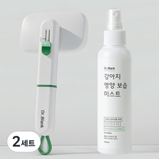 닥터블랭크 강아지 저자극 영양보습 미스트 베이비파우더향 150ml + 에어소프트 슬리커 브러쉬 세트, 2세트