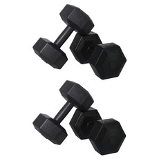 벨리카 홈짐 베이직 육각 덤벨 블랙 DB-01, 5kg, 4개