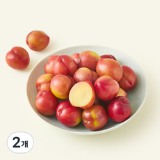 모아바이오팜 모아팜 꼬마 자두, 2개, 1kg