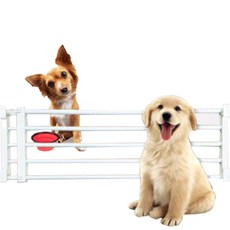 小型犬專用圍欄, 混色, 1組