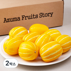 산지직송 아주마 성주산 꼬마참외, 2.5kg, 2박스
